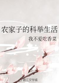 农家子的科举生活