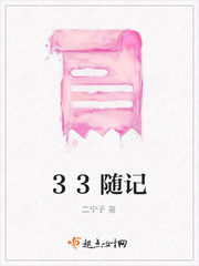 33随记