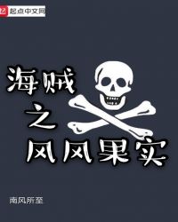 海贼之风能力