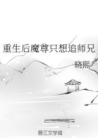 重生后魔尊只想追师兄