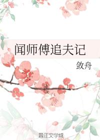 闻师傅追夫记