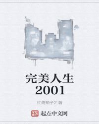 完美人生2001