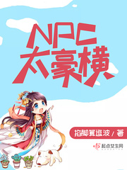 NPC太豪横