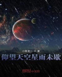 仰望天空星雨未歇