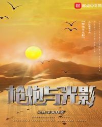 枪炮与光影