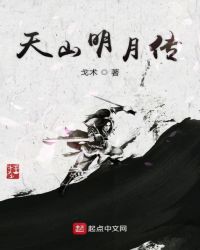 天山明月传