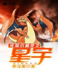 宠物小精灵之星宇