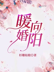 暖婚向阳