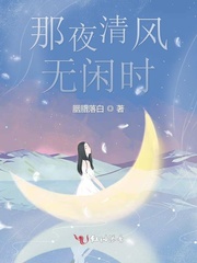 那夜清风无闲时