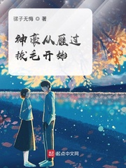 神豪从雁过拔毛开始