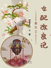 重生之女配改良记