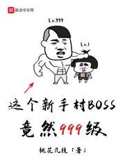 这个新手村BOSS竟然999级