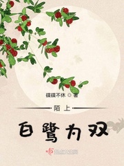 陌上白鹭为双