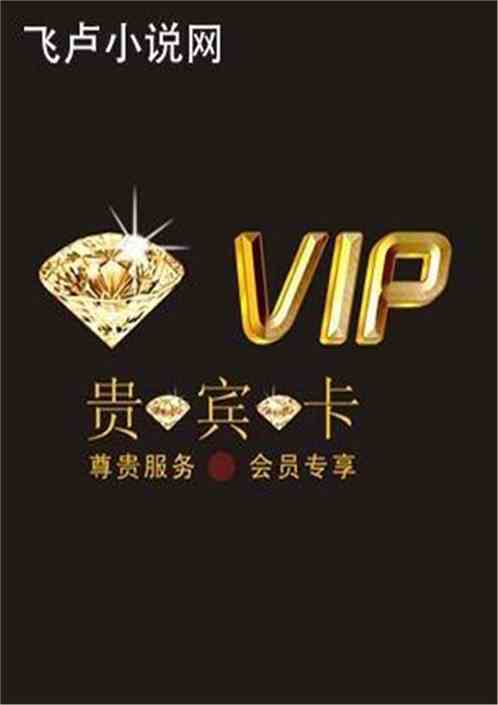 我是系统的VIP会员