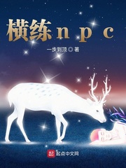 横练npc