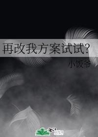 再改我方案试试？