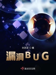 漏洞BUG