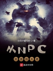 从NPC到游戏大佬