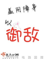 盖用障身以御敌