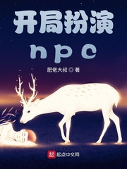 开局扮演npc