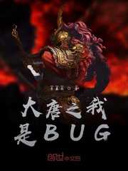 大唐之我是BUG