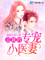 总裁的专宠小医妻