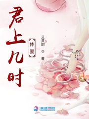 君上几时休妻