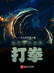 我在巫师世界打拳