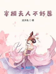 宰相夫人不好惹