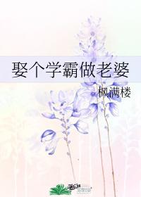 娶个学霸做老婆