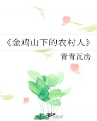 《金鸡山下的农村人》