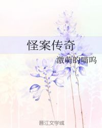 怪案传奇