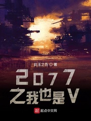 2077之我也是V