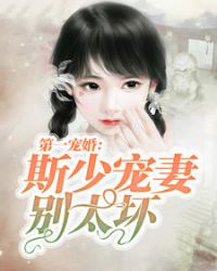 斯少宠妻别太坏