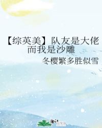 【综英美】队友是大佬而我是沙雕