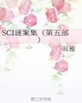 SCI谜案集（第五部）