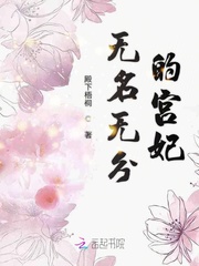 无名无分的宫妃