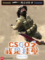 CSGO之我是挂壁