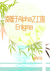 凌驾于Alpha之上的Enigma