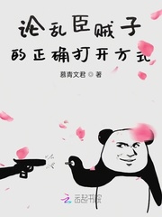 论乱臣贼子的正确打开方式