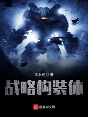战略构装体