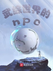 武综世界的npc