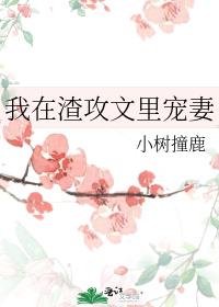 我在渣攻文里宠妻