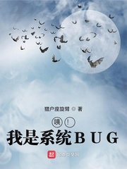 咦！我是系统BUG