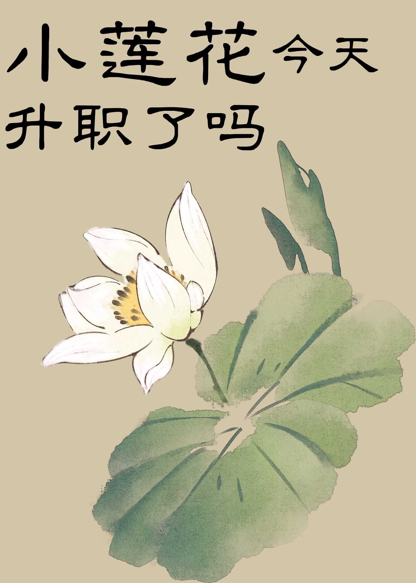 小莲花今天升职了吗