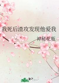 我死后渣攻发现他爱我