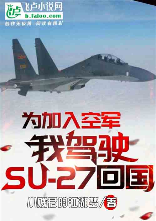 为加入空军，我驾驶苏-27回国