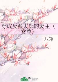 穿成反派夫郎的妻主（女尊）