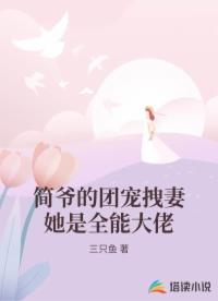 简爷的团宠拽妻她是全能大佬