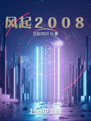 风起2008